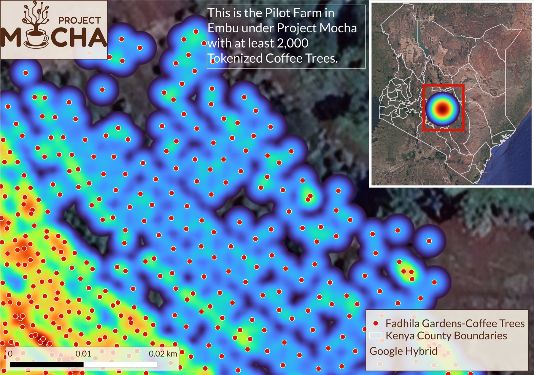 Mapped coffee trees and geospatial evidence from a Project Mocha pilot farm